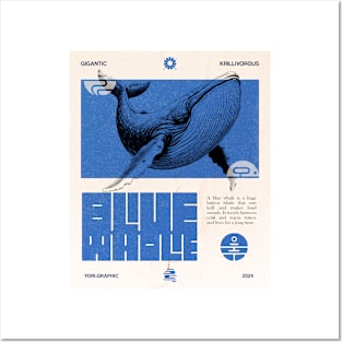 Blue Whale Posters and Art